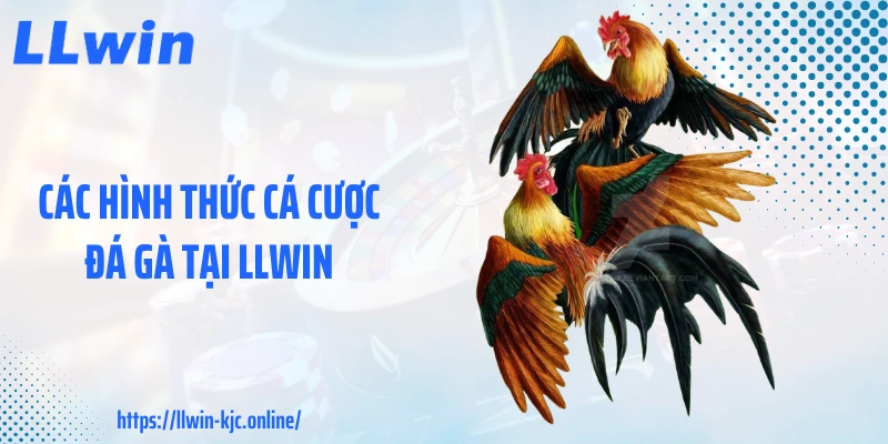 Các hình thức cá cược đá gà tại LLWIN