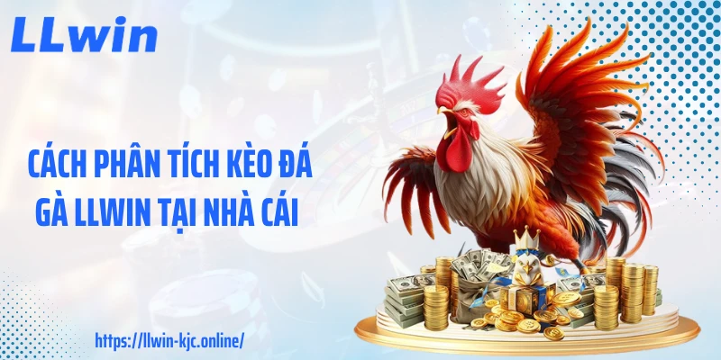 Cách phân tích kèo đá gà LLWIN tại nhà cái 