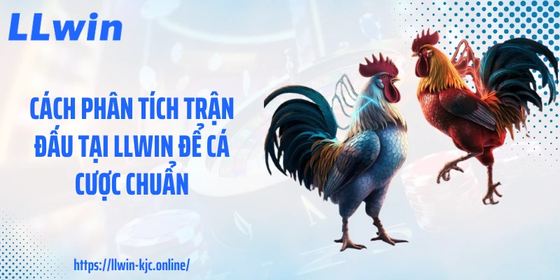 Cách phân tích trận đấu tại LLWIN để cá cược chuẩn