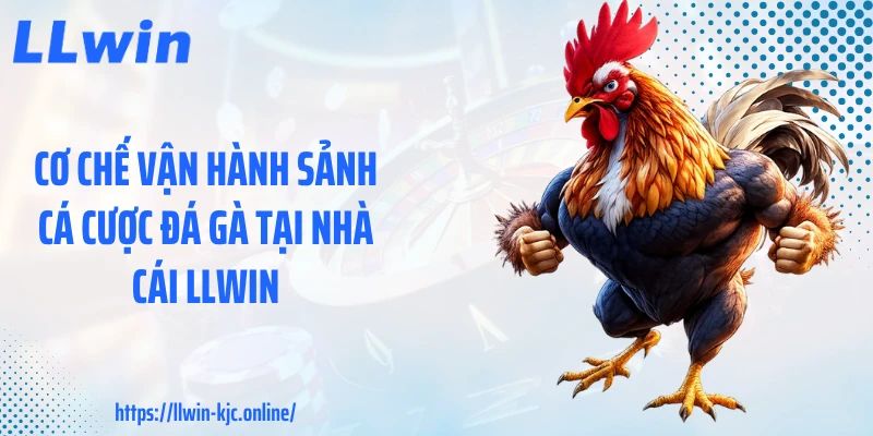 Cơ chế vận hành sảnh cá cược đá gà tại nhà cái LLWIN